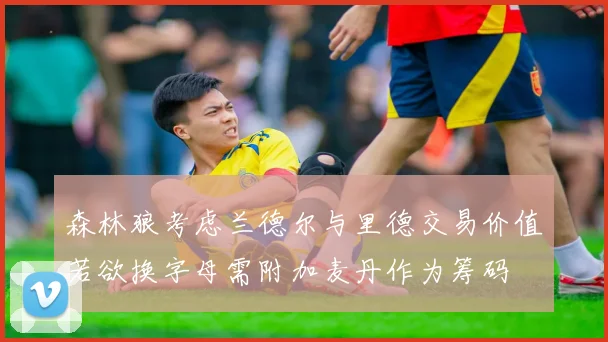 森林狼考虑兰德尔与里德交易价值若欲换字母需附加麦丹作为筹码